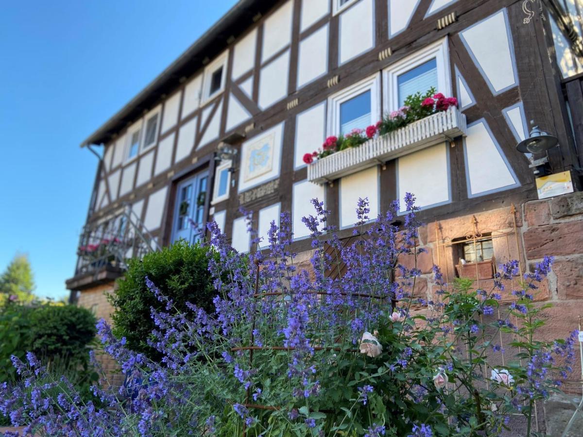 Werts Hof Ferienwohnen Vila Rauschenberg Exterior foto
